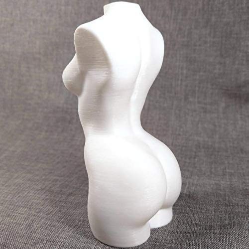 3D Printed White Female Torso Statue - Modern Home Decor, Art Studio Display, Photography Prop, and Contemporary Sculpture Collection