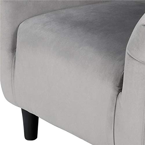 Yaheetech Velvet Accent Chairs Set of 2 - Cozy Barrel Chairs with Soft Padded Seat for Living Room, Bedroom, Office - Light Gray Modern Lounge Chairs for Reading Nook, Waiting Area & Home Decor