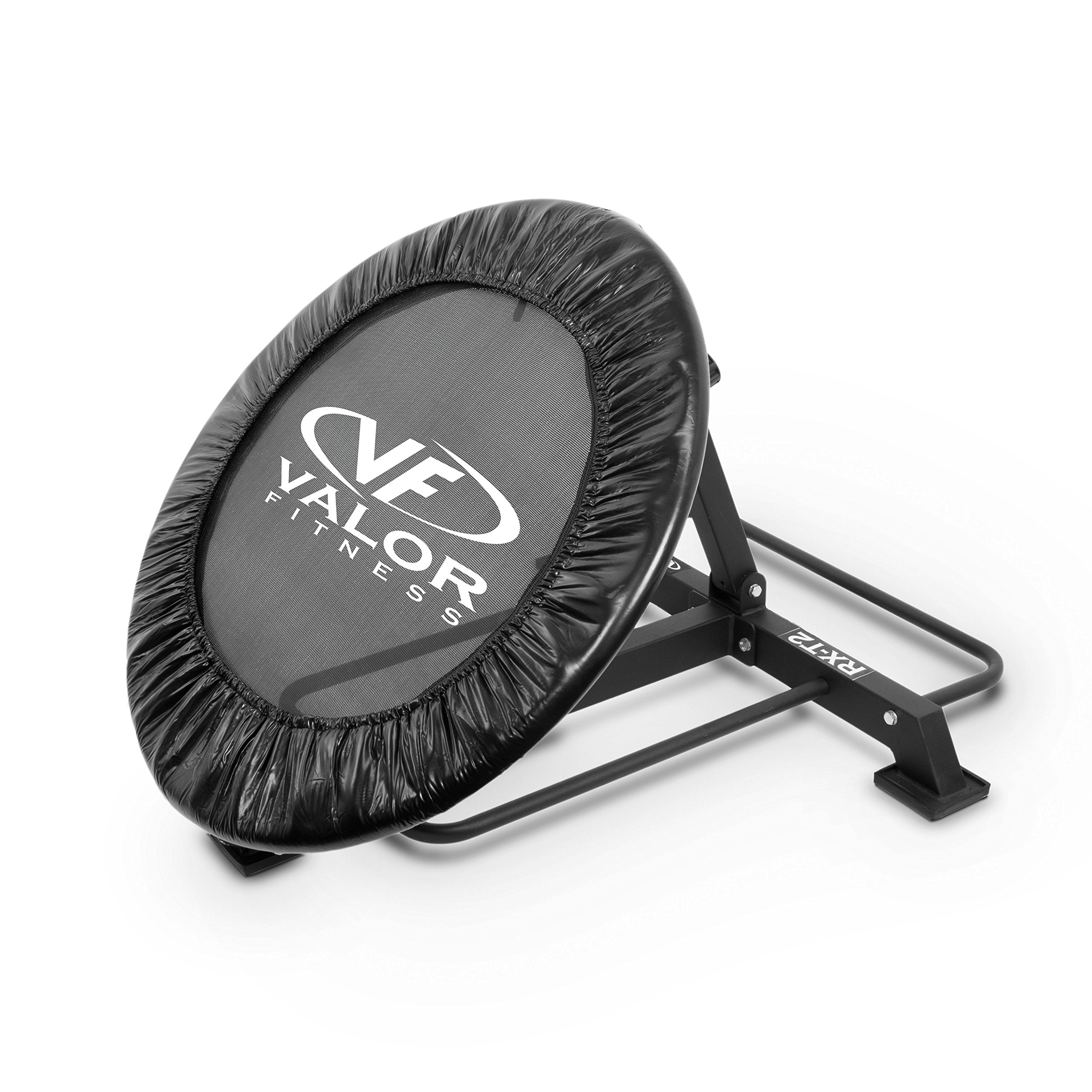 Valor Fitness Medicine Ball Trampoline Rebounder - Exercise Ball Storage for Physical Therapy & Home Gym Workouts - Durable Fitness Equipment for Bounce Training, Strength Exercises & Rehabilitation - Perfect for Home Gyms, Physical Therapy Clinics & CrossFit Training