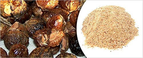 Organic Soap Nut (Reetha) Powder 100g - Natural Hair & Skin Cleanser - Chemical-Free Shampoo & Body Wash Alternative - Perfect for Eco-Friendly Beauty & Household Cleaning