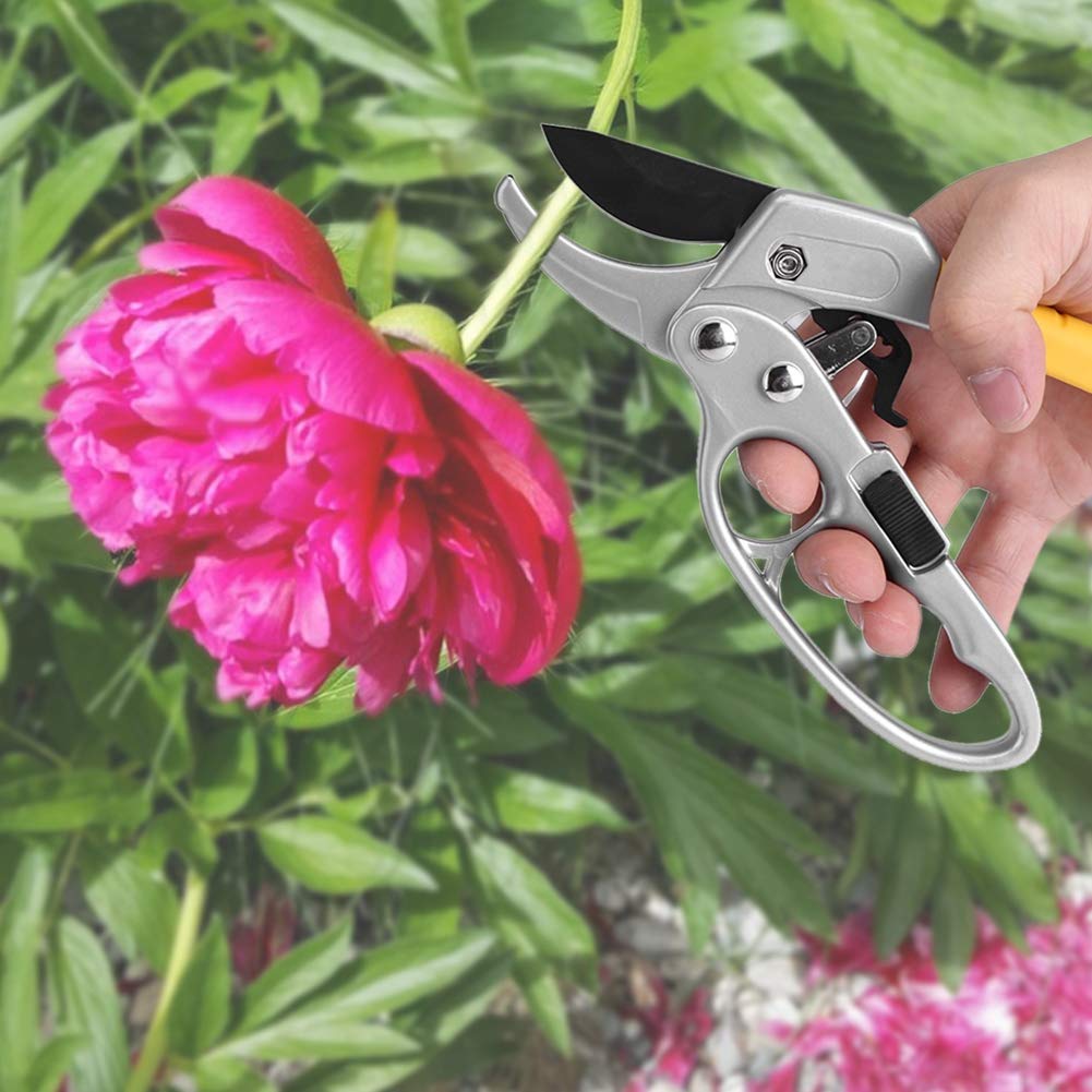 Ratchet Garden Pruning Shears - Heavy Duty Anvil Tree Trimmers & Gardening Scissors with Reinforced Handle for Weak Hands & Arthritis - Perfect for Trimming Branches, Shrubs, Roses & Outdoor Plants