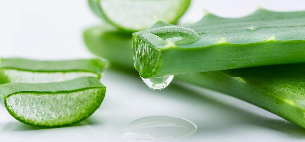 Pure Aloe Vera Gel 500g - 100% Natural Skin Care for Sunburn Relief, Hydration & Hair Care | Perfect for Face, Body & Scalp Treatment