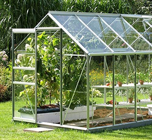 Holland Plastics 4-Pack Polycarbonate Greenhouse Panels 2mm Thick 608x608mm - Shatterproof Glazing Sheets for Roof & Wall Replacement - Perfect for DIY Greenhouses, Sheds & Garden Structures