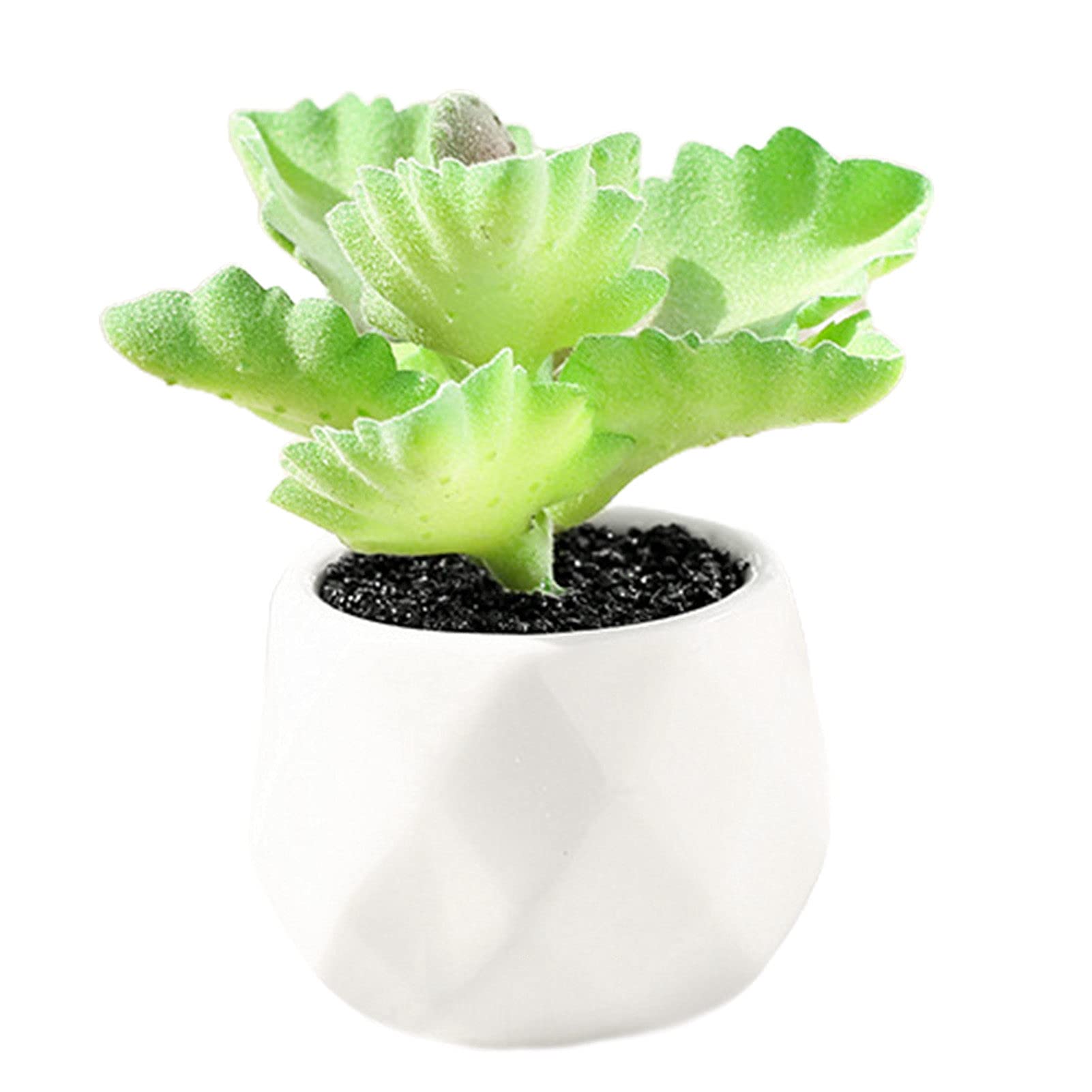 Stunning Artificial Succulent Bonsai in Flowerpot - Vibrant Colors, No Maintenance - Perfect for Desktop Decor, Home & Office Aesthetics