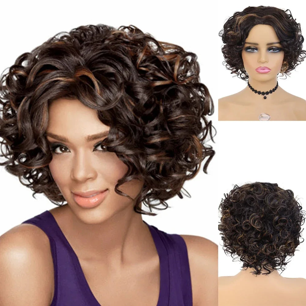 Afro Curly Wigs for Black Women - Short Synthetic Hair Wigs with High Temperature Fiber - Natural Looking & High Quality - Perfect for Daily Wear, Cosplay & Special Occasions