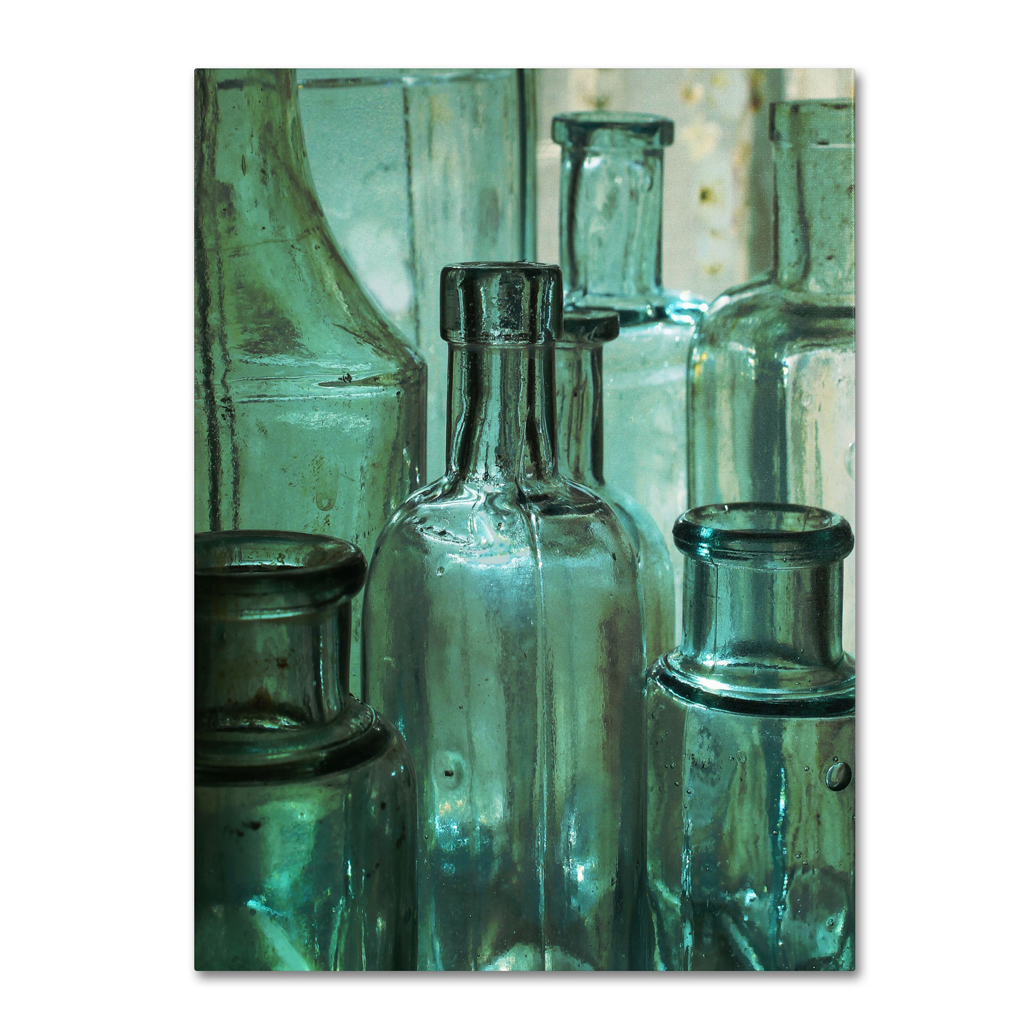Patty Tuggle Antique Bottles Fine Art Print - 35x47 Inch Vintage Still Life Wall Decor - Perfect for Living Room, Dining Room or Office Art Collection