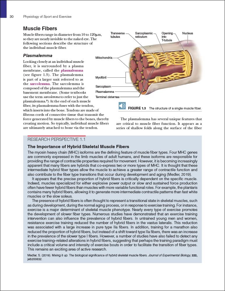 Physiology of Sport and Exercise - Science of Human Performance for Athletes & Fitness Enthusiasts | Training Guide for Running, Cycling & Gym Workouts
