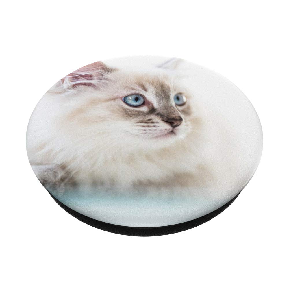 Ragdoll Cat PopSocket: Swappable Phone Grip for Secure Hold & Stylish Design - Perfect for Phones, Tablets, and Everyday Use