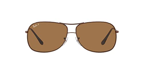 Brown/Polarized Brown