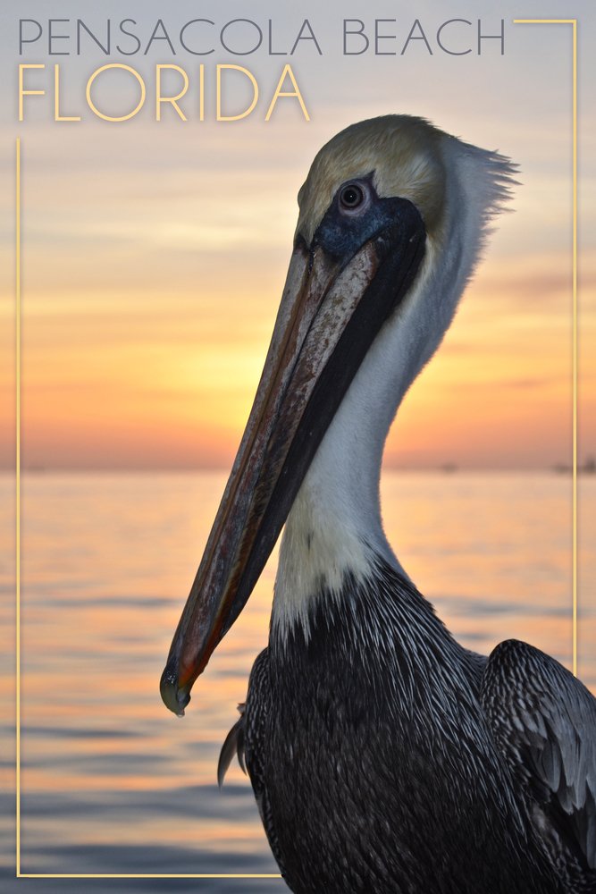 Florida Pensacola Beach Pelican Metal Wall Art - 12x18 Gallery Quality Aluminum Decor for Home, Office & Coastal Living Spaces