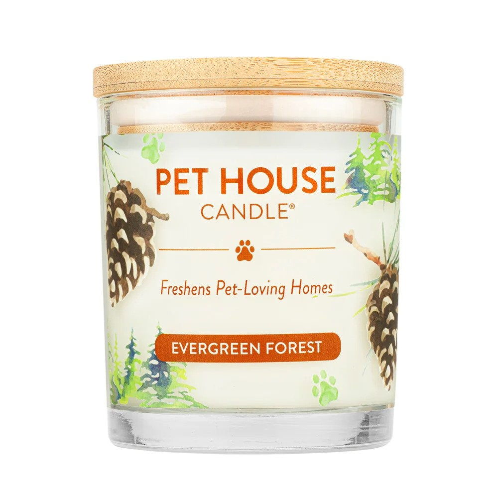 One Fur All Scented Candle - Pet-Friendly Soy Wax Candle for Home, Relaxation & Pet Owners - Perfect for Living Rooms, Bedrooms & Pet-Friendly Spaces