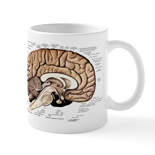 White - Human Brain Mug