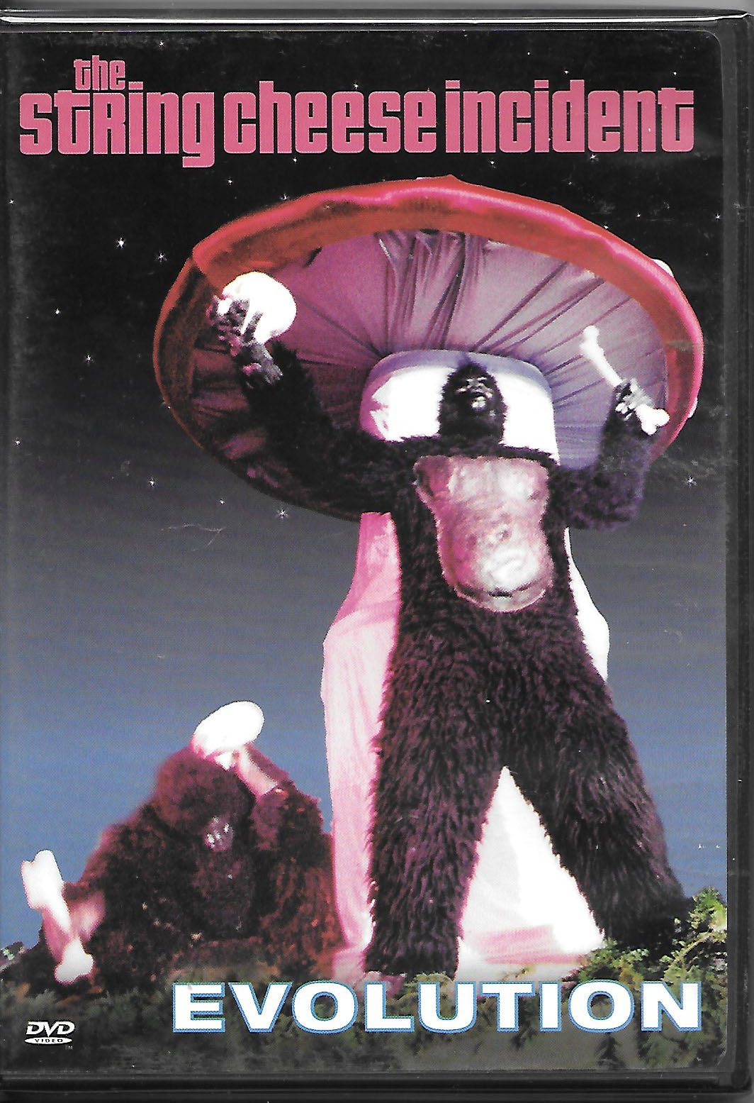 String Cheese Incident - Evolution [DVD] | Live Concert Performance | Perfect for Music Lovers & Jam Band Fans | Great for Home Entertainment & Gifts