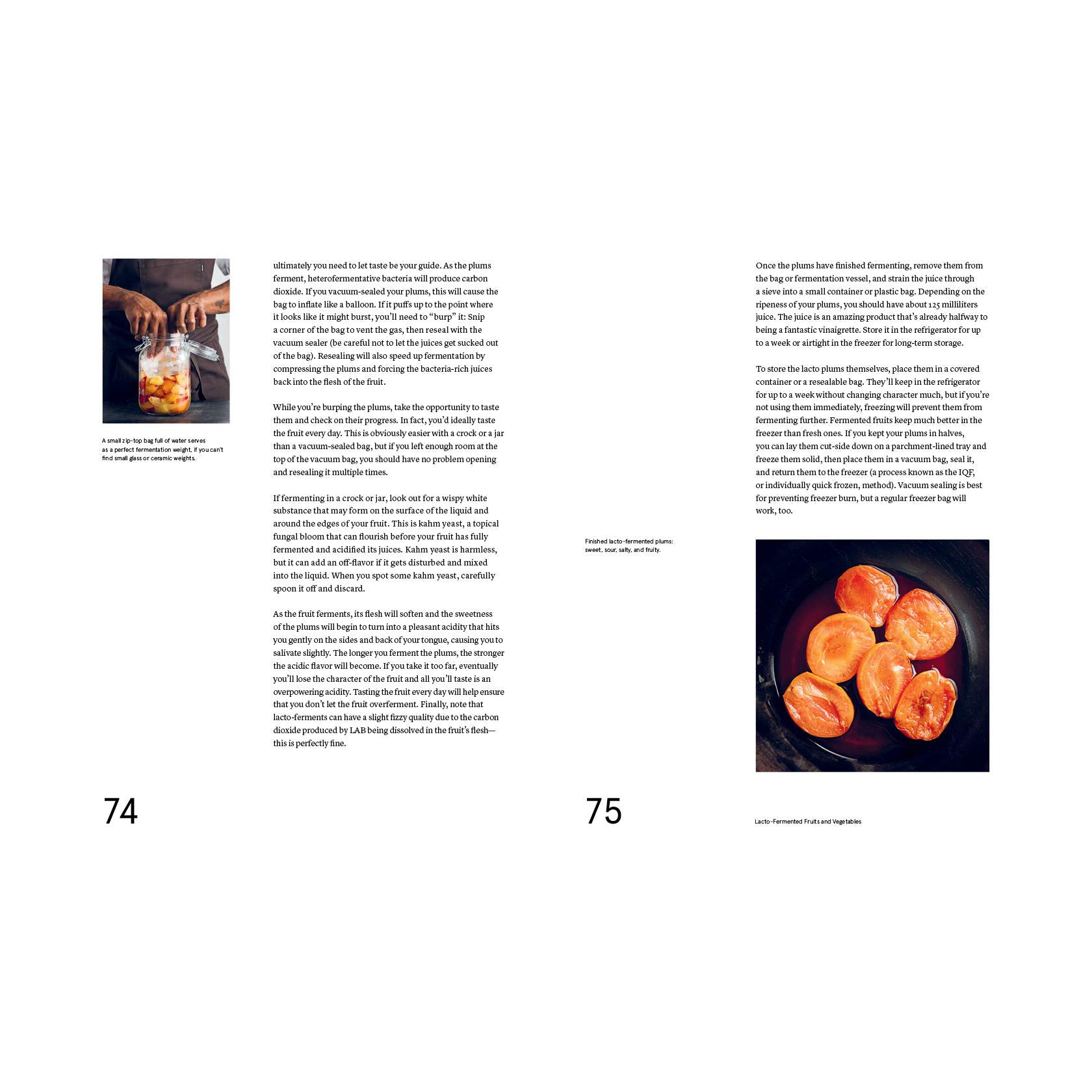 The Noma Guide to Fermentation: A Complete Guide to Fermenting Vegetables, Fruits, Grains, and More – Perfect for Home Cooks, Chefs & Fermentation Enthusiasts