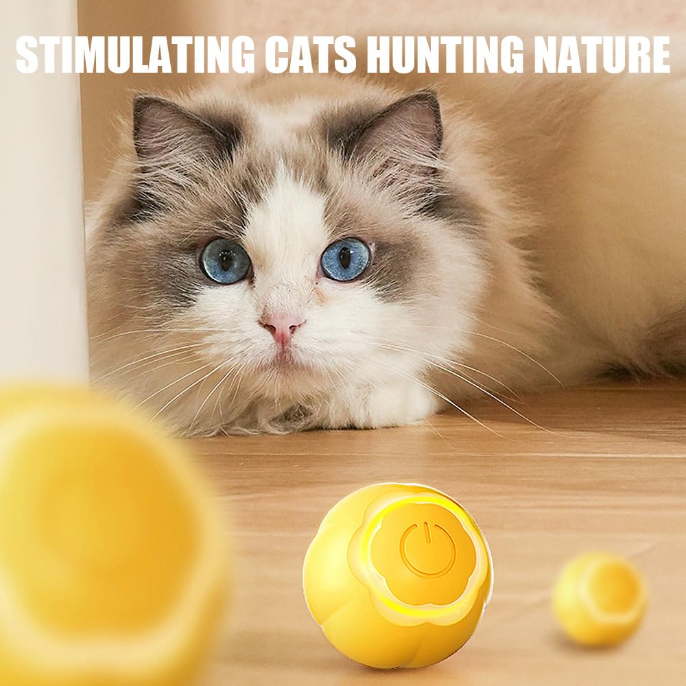 Speedy Panther Interactive Cat Ball Toy - USB Rechargeable LED Cat Toy for Indoor Play