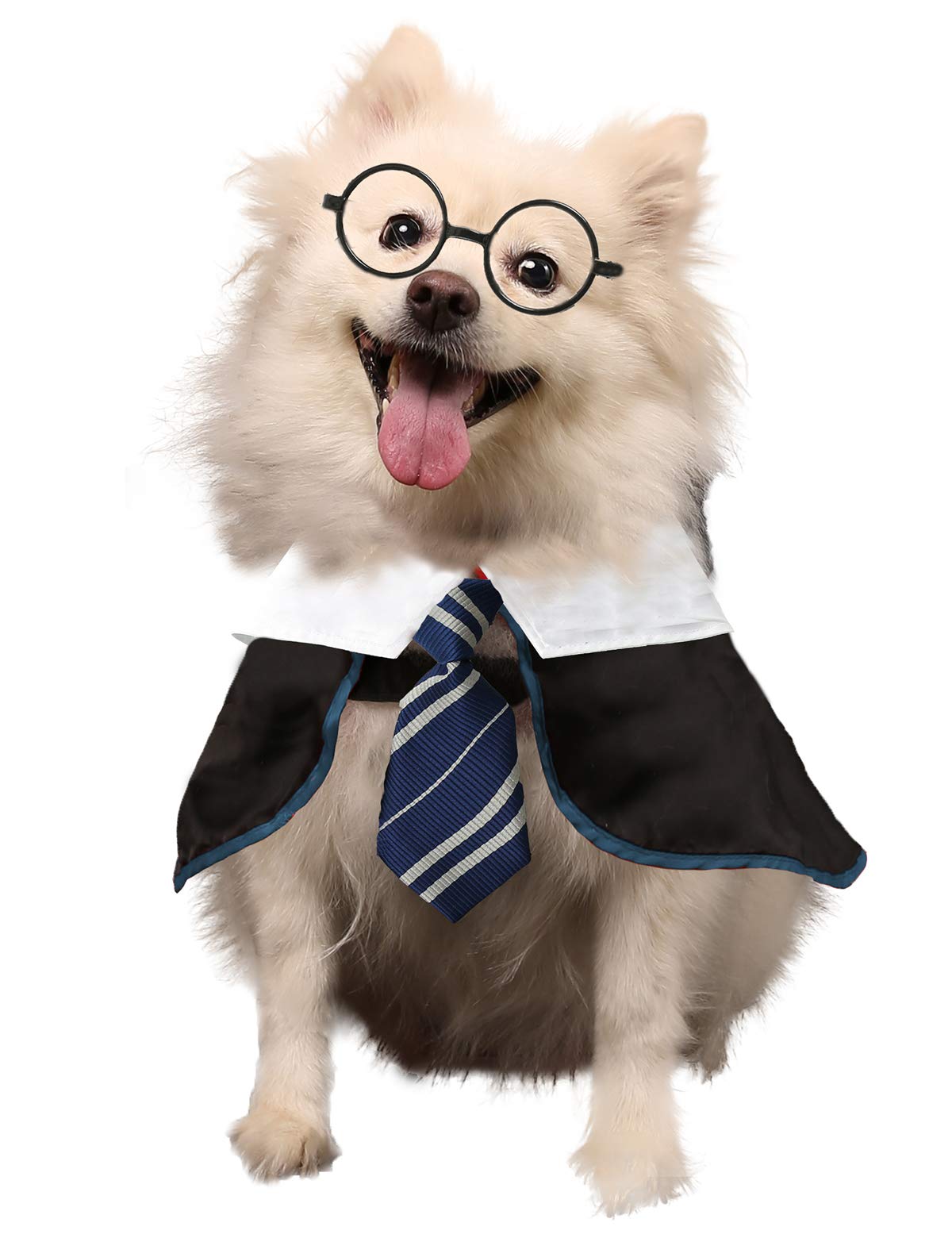 Funny Pet Wizard Costume with Glasses - Halloween Dog & Cat Shirt (Small, Blue) | Perfect for Halloween Parties & Pet Photo Shoots