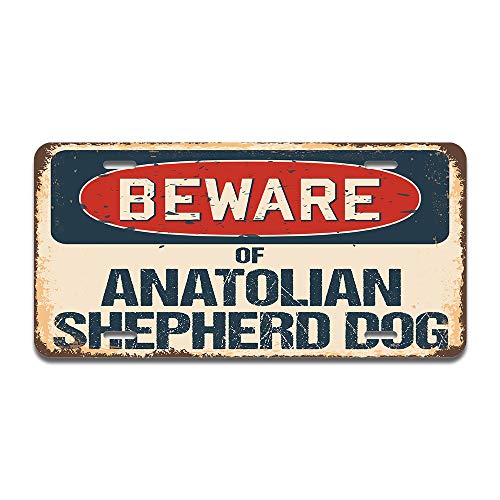 Beware of Anatolian Shepherd Dog