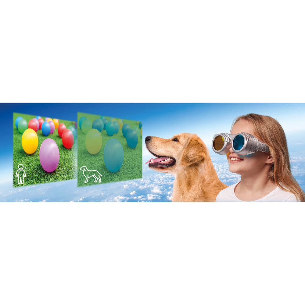 Brainstorm Optical Science Kit - Explore Vision & Perception with Fun Science Experiments | Perfect for Kids' STEM Learning & Classroom Activities