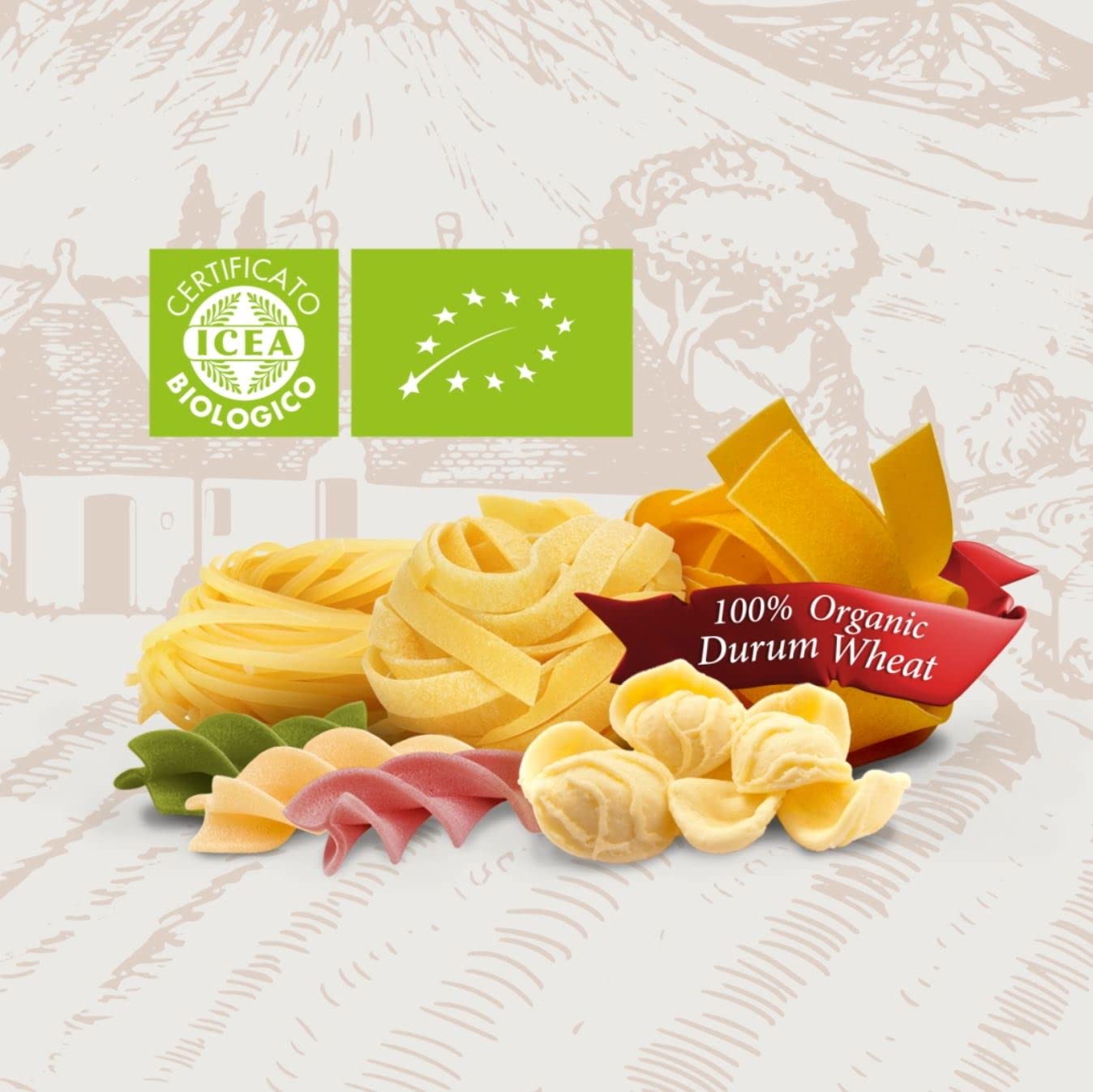 Organic Homestyle Egg Fettuccine Pasta - Premium Italian Pasta for Gourmet Cooking | Perfect for Carbonara, Alfredo & Family Dinners
