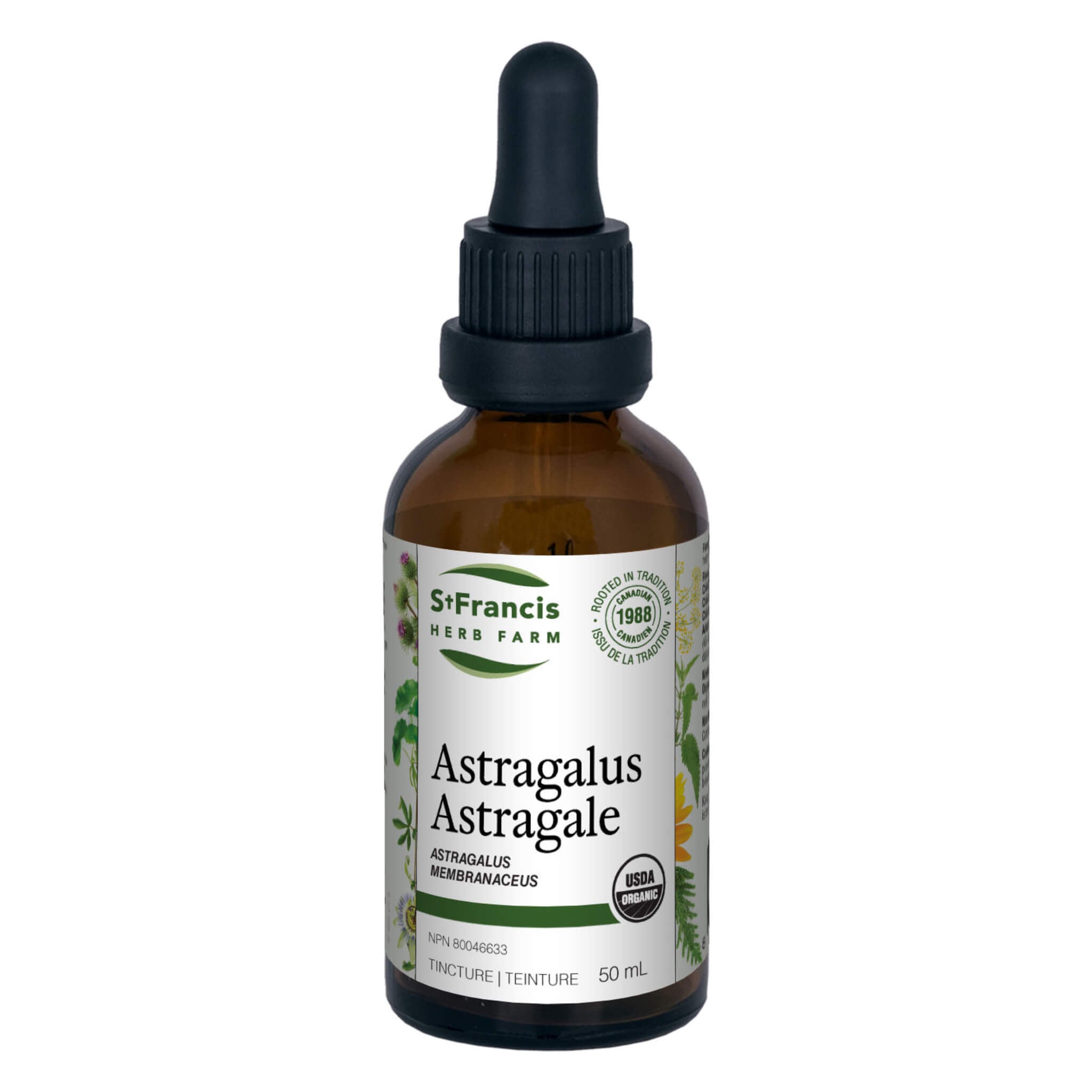 Organic Astragalus Root Powder (Astragalus membranaceus) - Immune Support Supplement for Energy & Wellness - Perfect for Tea, Smoothies & Daily Health Routine