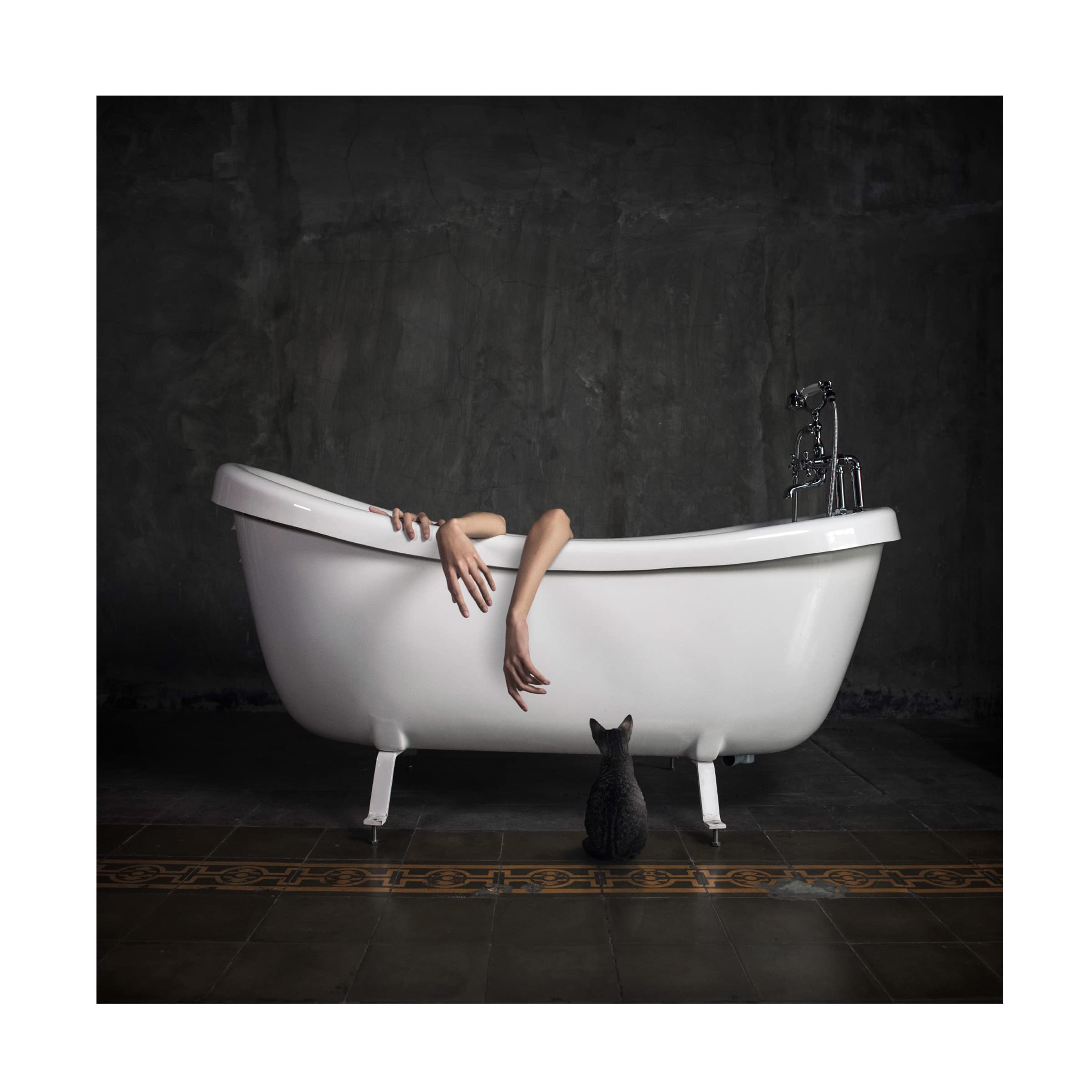 Trademark Fine Art 'Bathroom Stories I' Canvas Wall Art Print by Hardibudi - Perfect for Bathroom, Living Room & Bedroom Decor