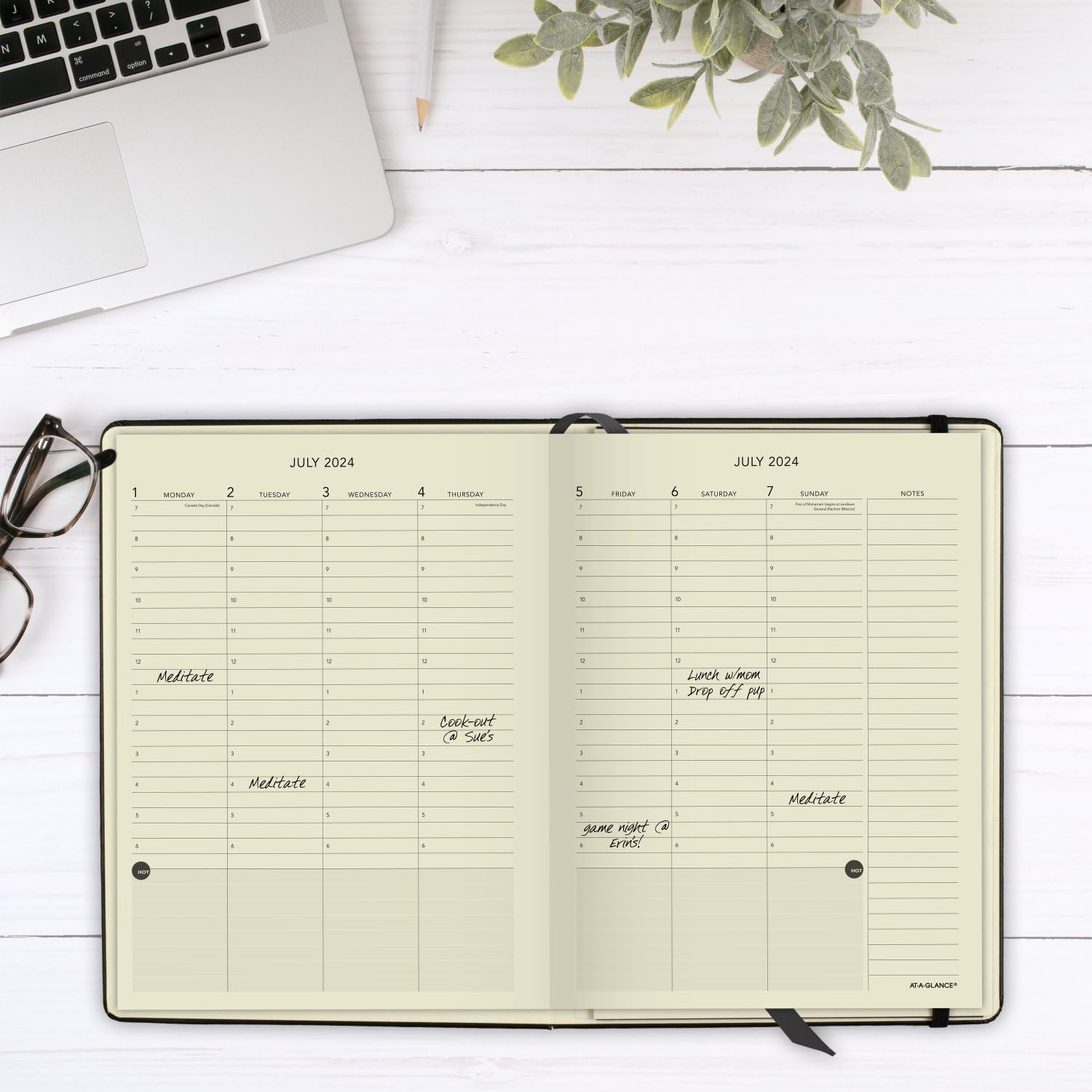 AT-A-GLANCE 2024-2025 Academic Planner - Weekly & Monthly Schedule Book with Hourly Appointments, 7.5