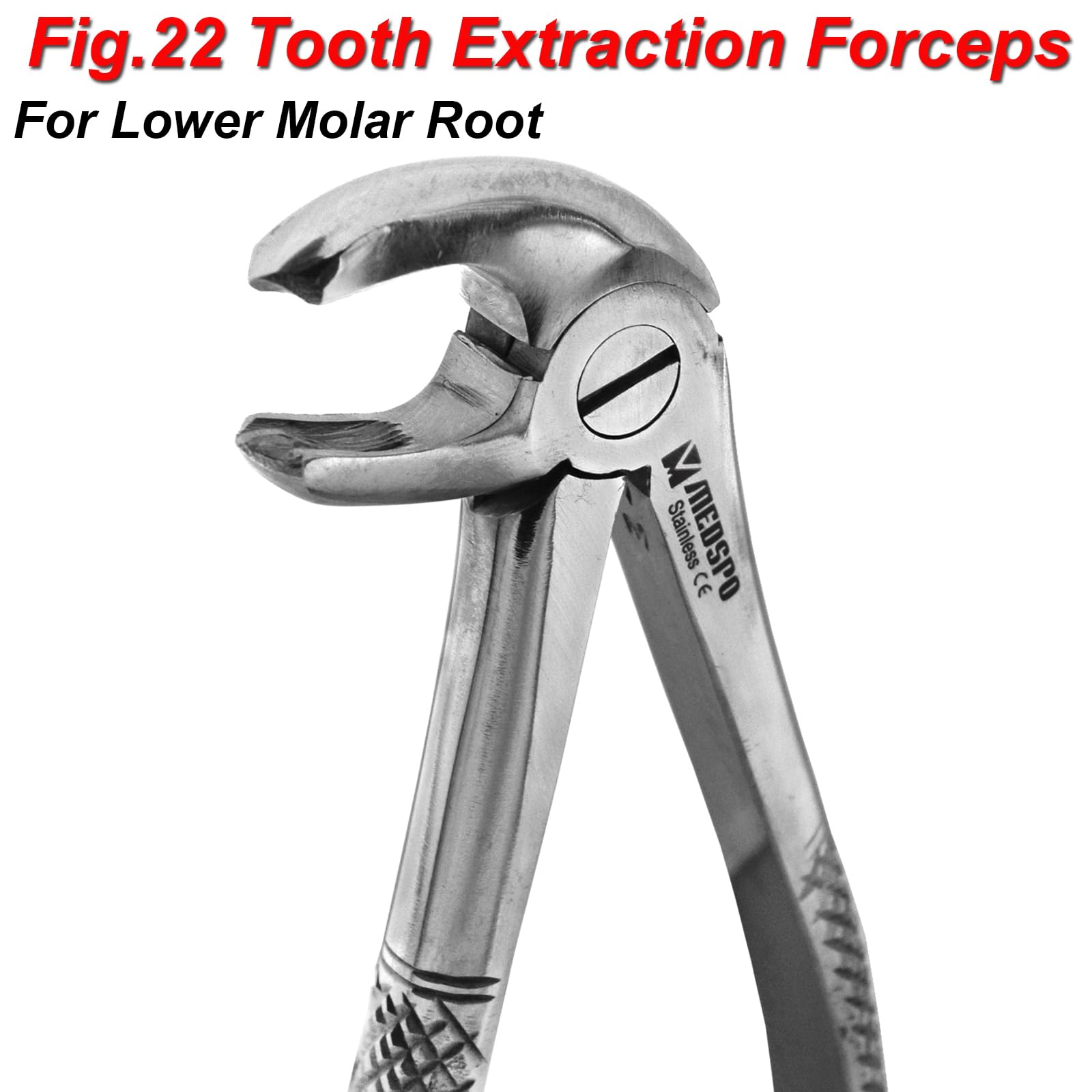 Premium Dental Extraction Forceps Set - Upper & Lower Teeth for Incisors, Premolars, Molars, Canines & Wisdom Teeth - CE Certified Surgical Dental Instruments (Fig. 22) - Ideal for Dentists, Oral Surgeons & Dental Clinics