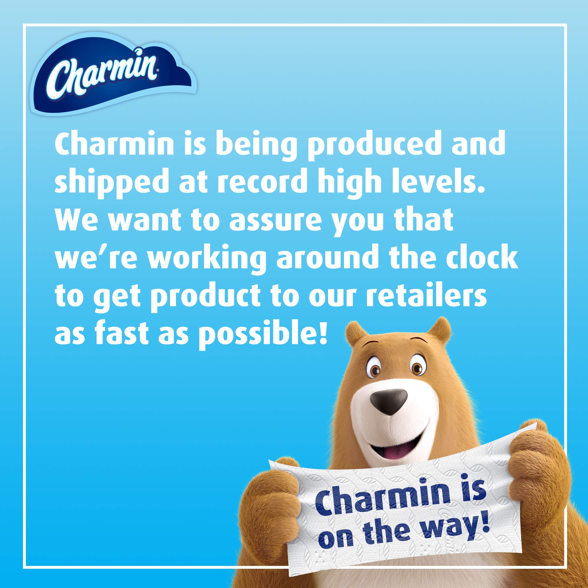 Charmin Ultra Soft Cushiony Touch Toilet Paper - 6 Family Mega Rolls (Equals 30 Regular Rolls) | Gentle & Strong Bath Tissue for Sensitive Skin | Perfect for Home, Office & Guest Bathrooms