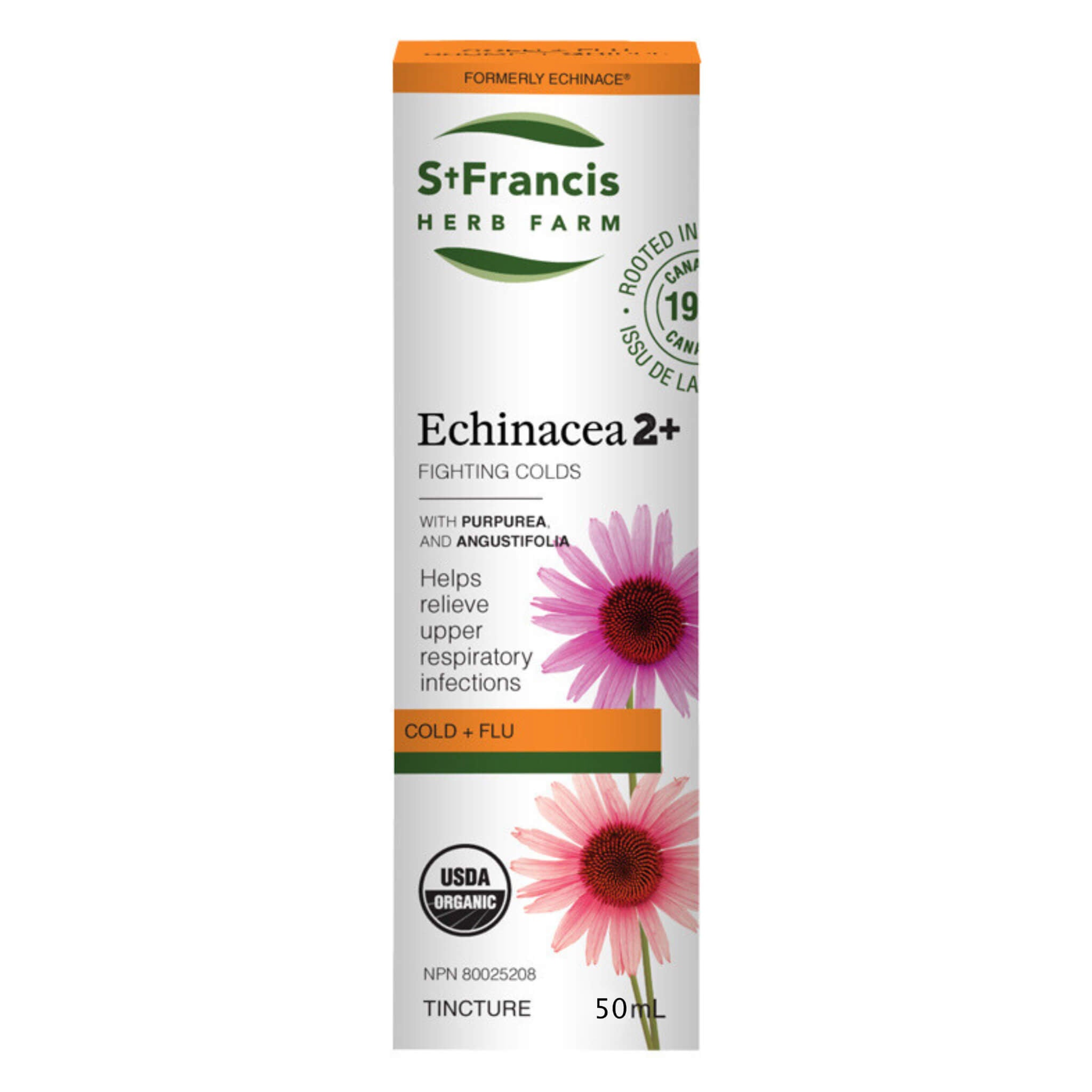 Echinacea Cold & Flu Relief Drops 50ml - Natural Immune Support for Adults & Kids - Fast-Acting Herbal Remedy for Cough, Sore Throat & Seasonal Wellness