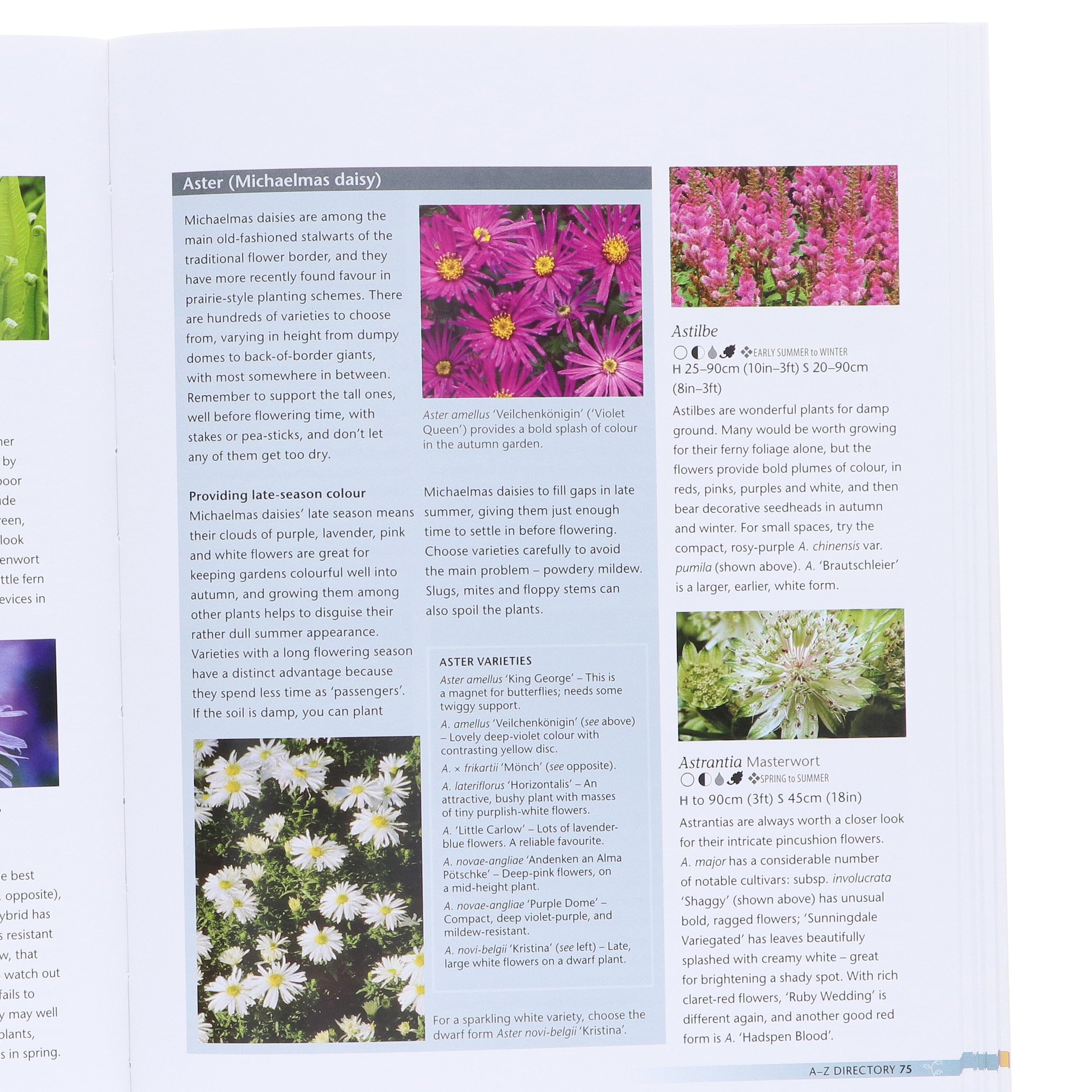 Alan Titchmarsh How to Garden: Perennial Garden Plants Paperback Book - Essential Guide for Flowering Plants Care & Maintenance | Perfect for Home Gardeners & Landscaping Enthusiasts