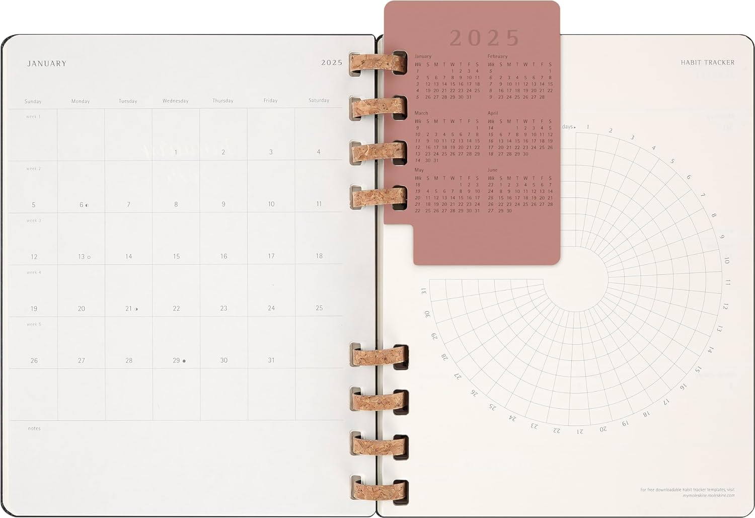 Moleskine 2025 Weekly & Monthly Planner - 12 Month Spiral Notebook with Hard Cover & Elastic Closure - Extra Large 20.4x25.2 cm Black - Perfect for Business, School & Personal Organization