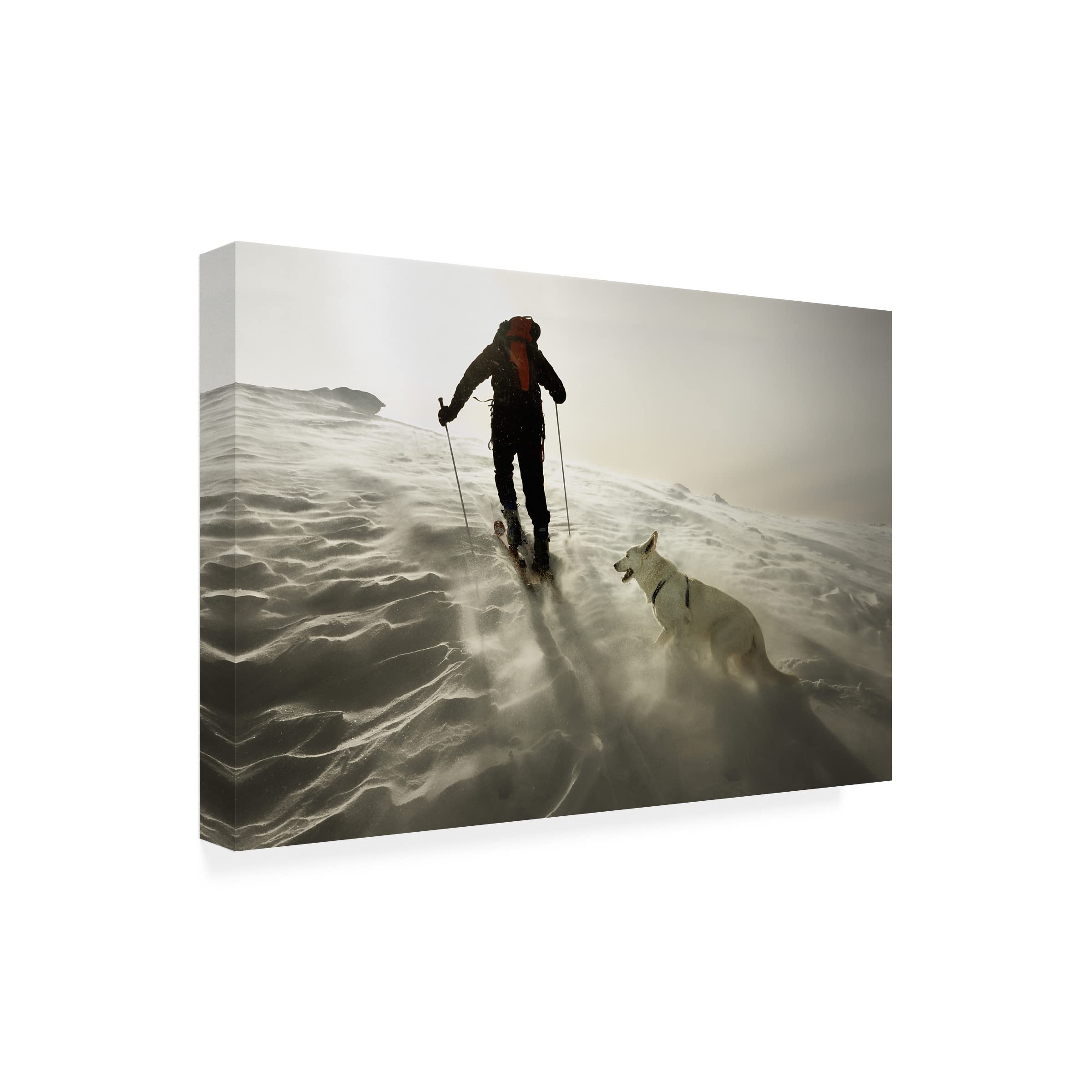 Trademark Fine Art 'Couple' Romantic Canvas Wall Art by Izidor Gasperlin - Perfect for Bedroom, Living Room & Wedding Gift Decor