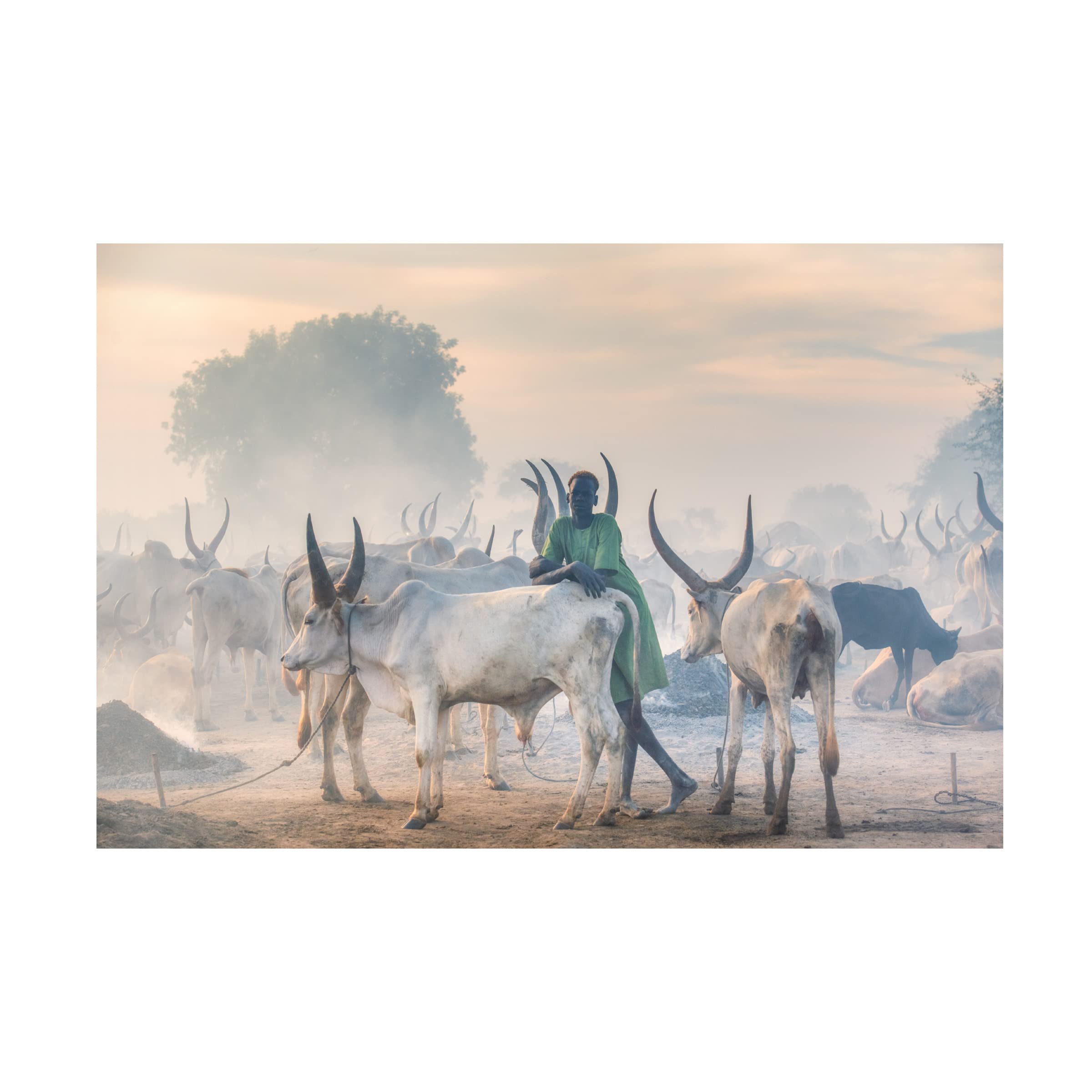 Trademark Fine Art 'Dinka Herder' Canvas Wall Art by Trevor Cole - African Tribal Decor for Living Room, Bedroom & Office