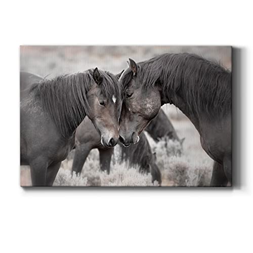 Wild Horses