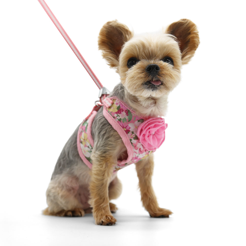 EasyGO Blossom Harness - Adjustable Pet Dog Harness for Small & Medium Dogs, Breathable Mesh Vest with Reflective Strips - Perfect for Walking, Running & Outdoor Adventures