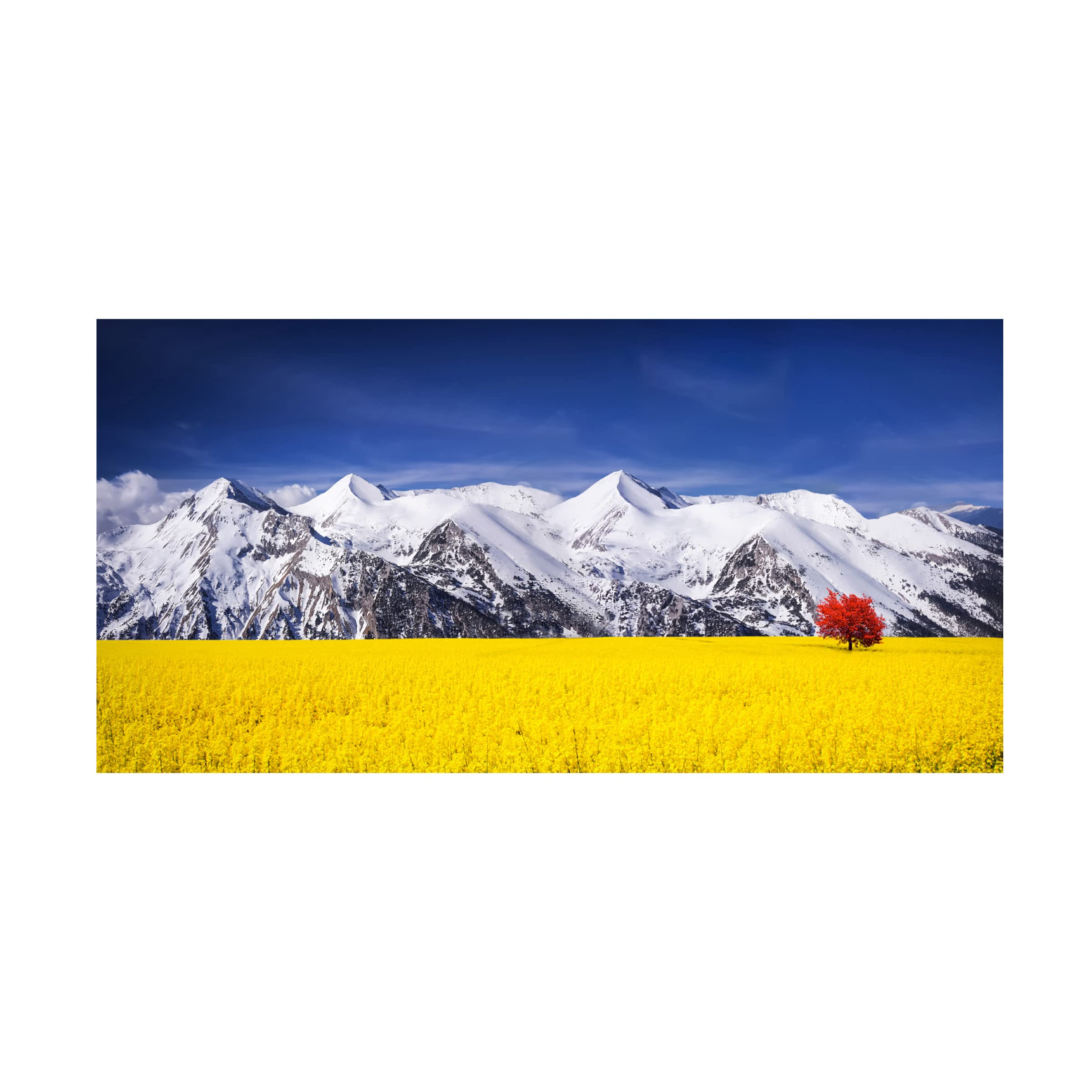 Bess Hamiti 'Orange Tree' Canvas Art Print - Modern Wall Decor for Living Room, Bedroom & Office - Trademark Fine Art Collection
