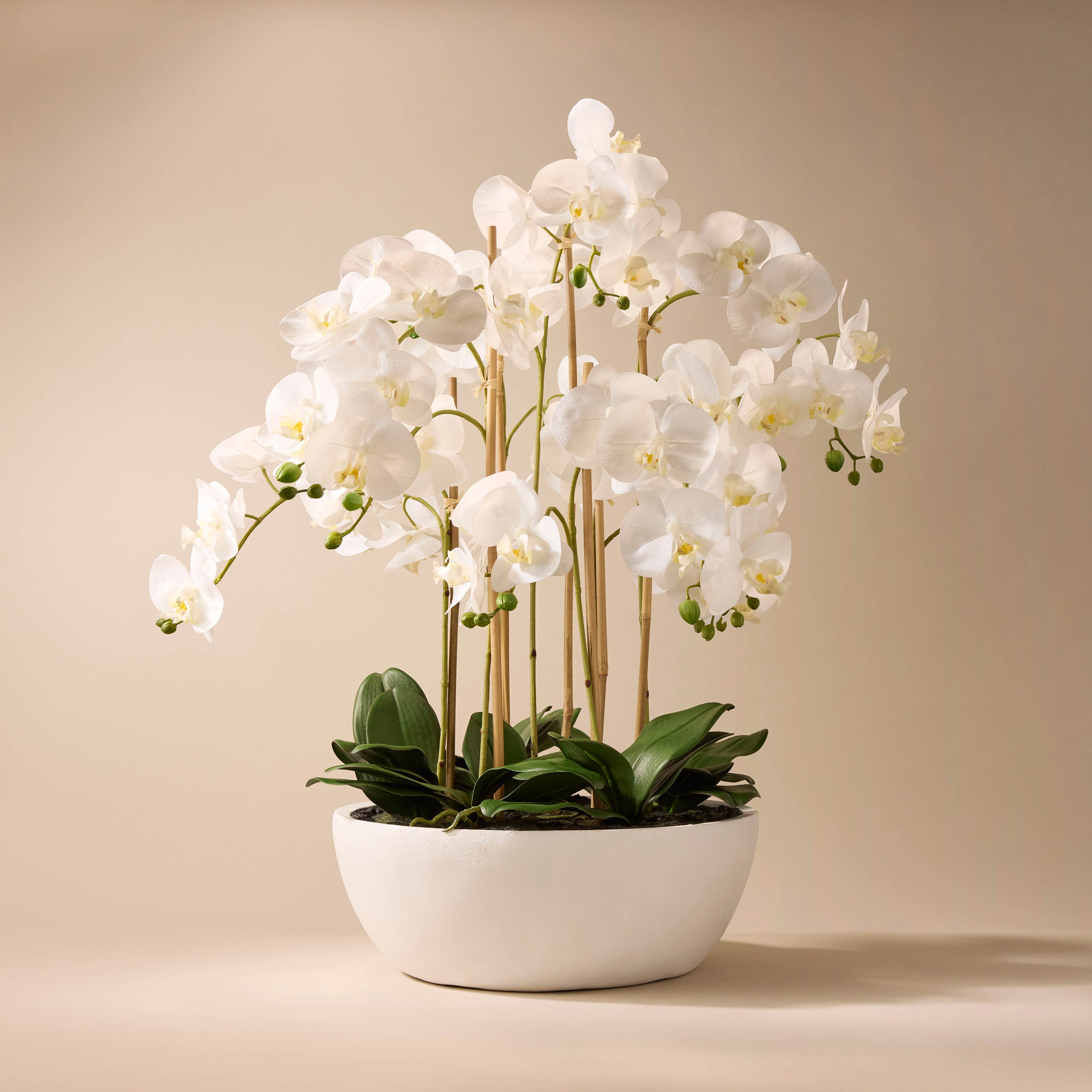 Artificial Butterfly Orchid in Round Pot - 33 Inches Tall for Home Decor, Office, Wedding & Event Centerpieces