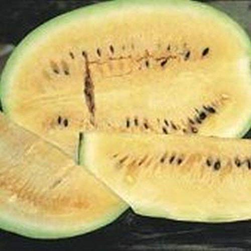 Non-GMO Heirloom Desert King Watermelon Seeds (25+ Seeds) - Sweet, Juicy Melons for Home Garden, Fresh Eating & Summer Picnics