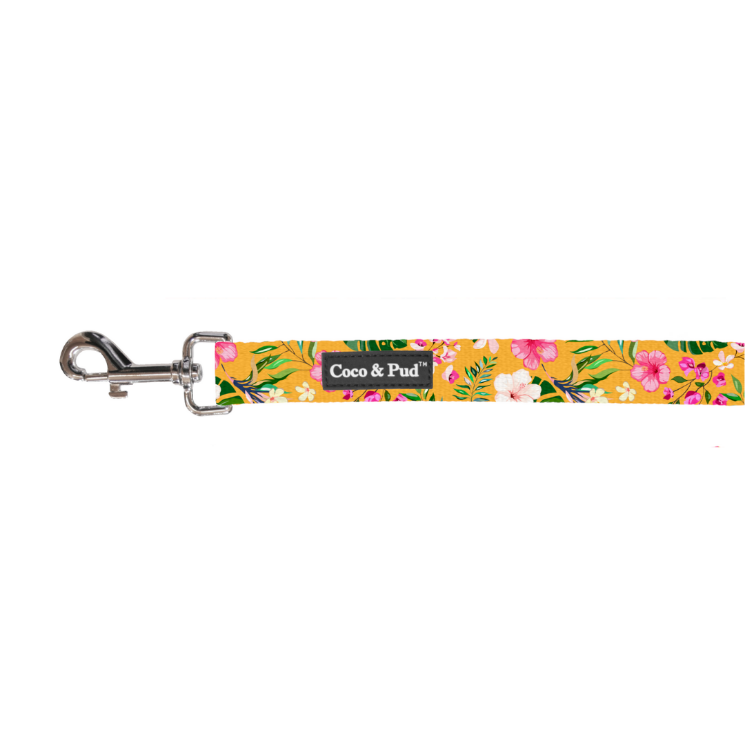 Summer Sunrise Cat Lead - Adjustable Cat Harness & Leash Set for Walking, Training - Perfect for Outdoor Adventures, Park Visits & Travel