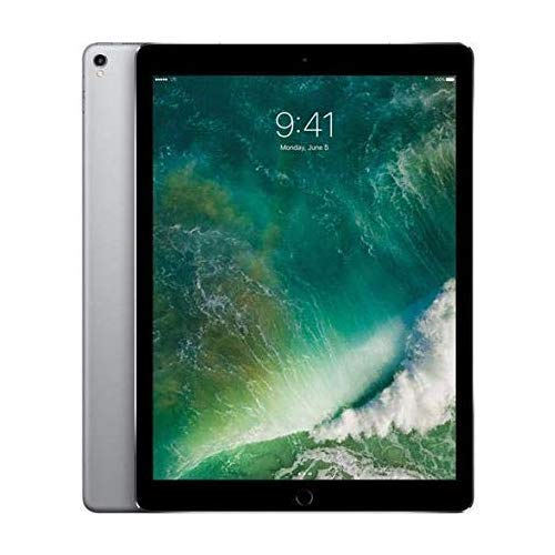 Apple iPad Pro 12.9-inch (6th Gen) 256GB WiFi + Cellular Tablet - Space Gray | M2 Chip, Liquid Retina XDR Display | Perfect for Business, Creative Work & Entertainment