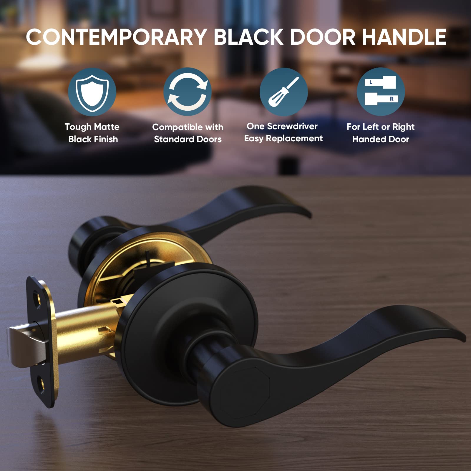 TICONN Reversible Door Lever - Matte Black for Interior & Closet Doors | Home & Office Use