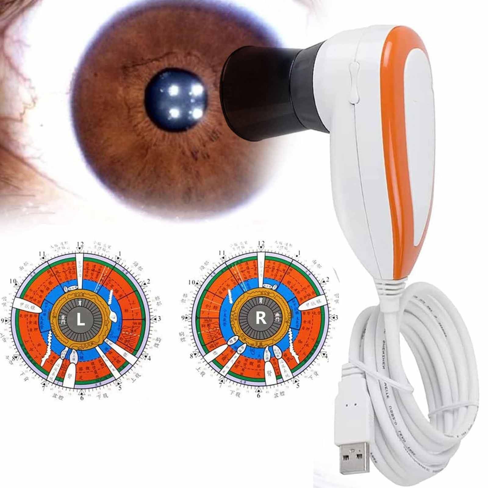 DaMga 30X Iris Analysis Camera with 5.0MP USB Detector - High Resolution 2560x1920 Iridology Camera with Left/Right Lamp & Analysis Software - Perfect for Eye Health Diagnosis, Alternative Medicine Practice, and Holistic Wellness Assessment