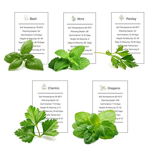 Basil, Mint, Parsley, Cilantro & Oregano