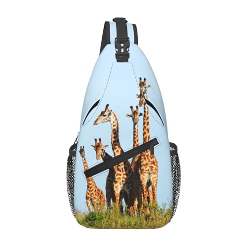 Giraffe 03