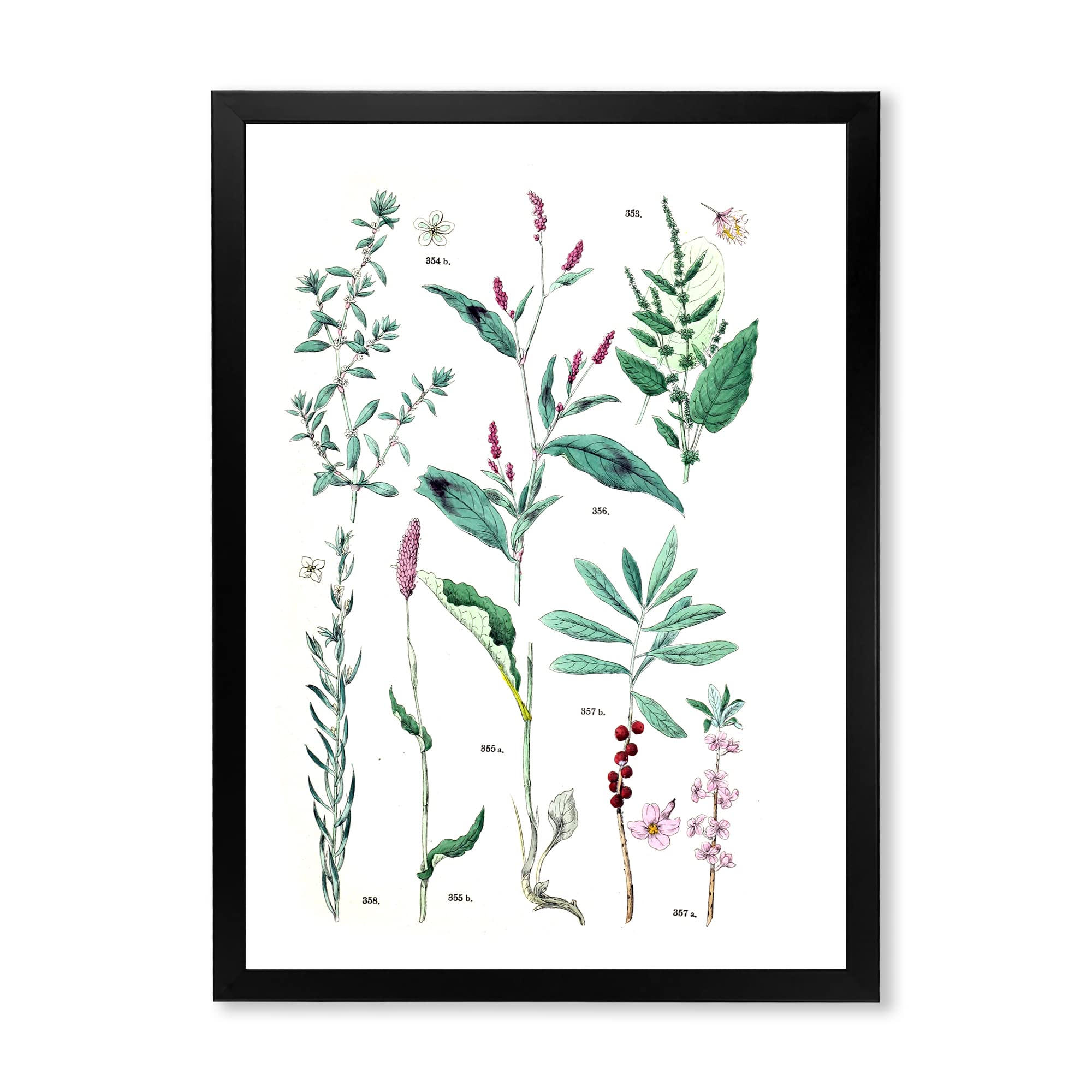Vintage Botanical Wall Art - Traditional Framed Plant Prints for Living Room, Bedroom & Office Decor | Nature-Inspired Home Décor
