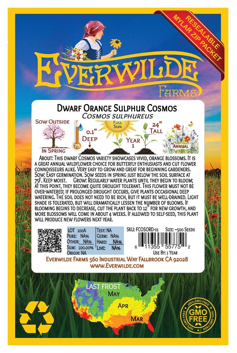 500 Dwarf Orange Cosmos Wildflower Seeds - Premium Gold Vault Jumbo Seed Packet by Everwilde Farms - Perfect for Home Gardens, Landscaping & Pollinator-Friendly Flower Beds