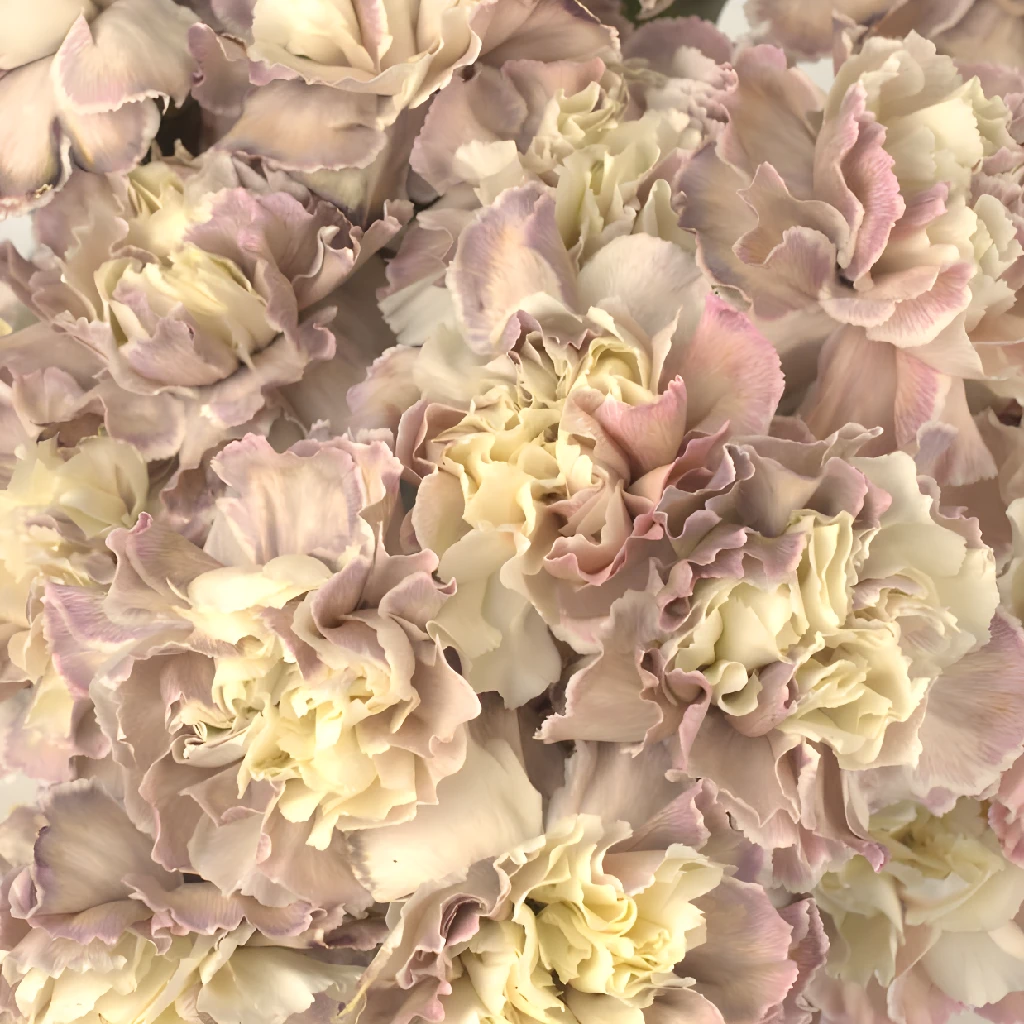 Beige Peach Carnation Flowers - Artificial Silk Floral Arrangement for Home Decor, Wedding Centerpieces & Party Decorations