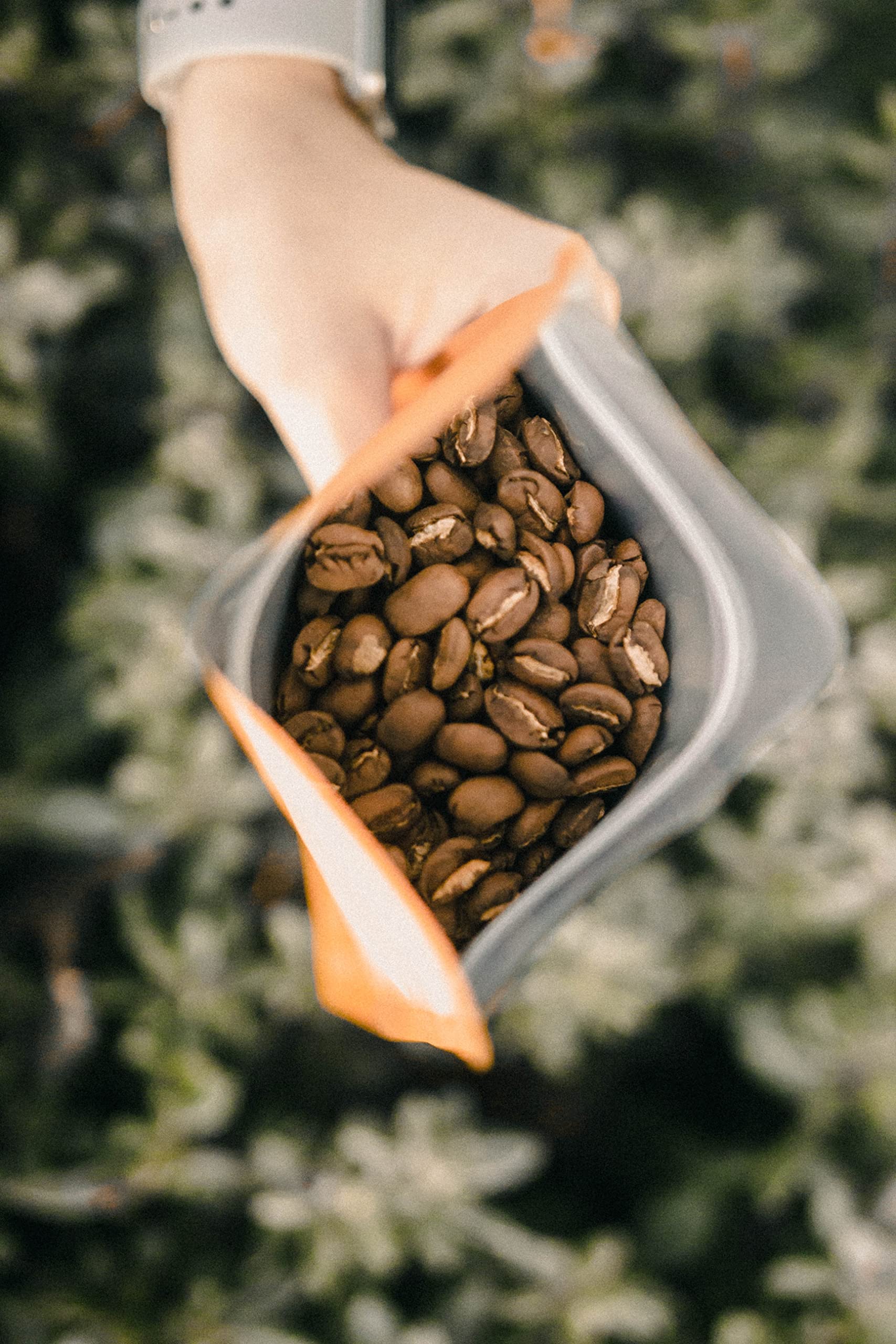 5 LBS Premium 100% Certified Jamaica Blue Mountain Coffee - Grade 1, Medium Roast | Freshly Roasted to Order & Fast Shipping | Perfect for Home Brewing, Gifts & Coffee Shops