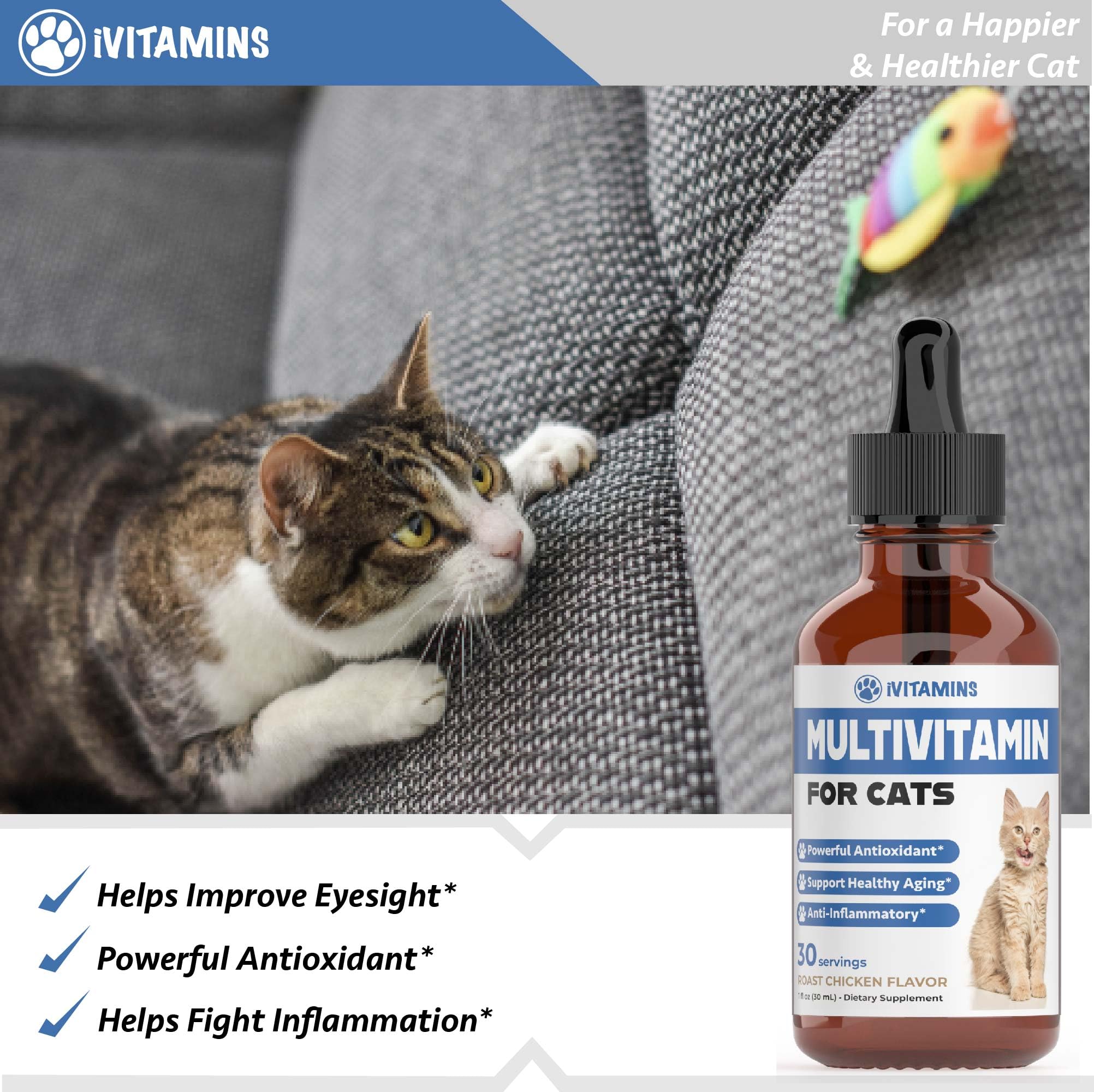 Premium Cat Multivitamin for Immune Support, Skin & Coat Health, Heart Function - Essential Vitamins & Supplements for Indoor Cats & Kittens - Promotes Overall Wellness & Vitality - Perfect for Daily Health Maintenance & Immune Boosting