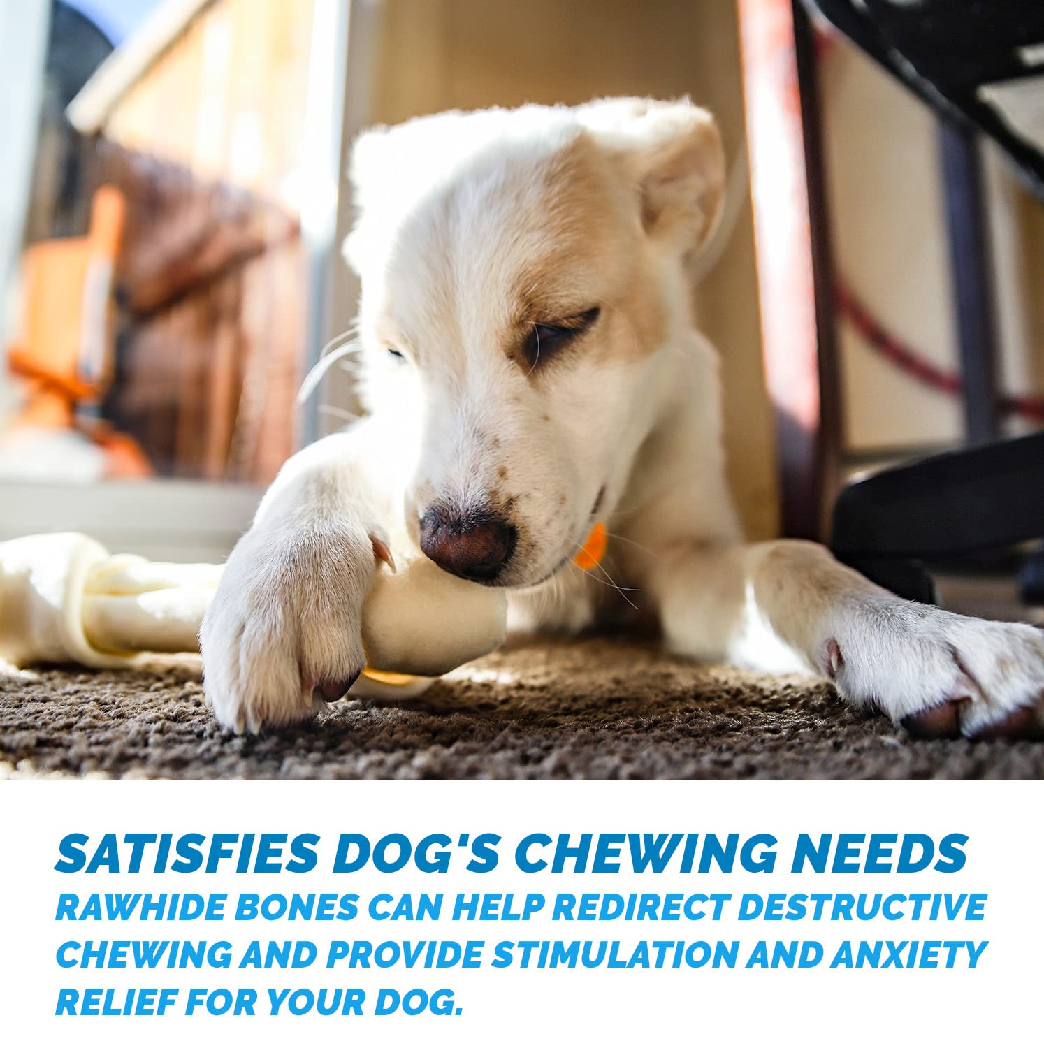 5-6 Inch Natural Rawhide Bones for Dogs - Premium Long Lasting Dog Chews, Free Range Grass-Fed Cattle, No Hormones or Additives (50 Count) - Perfect for Puppy Teething, Aggressive Chewers & Dental Health